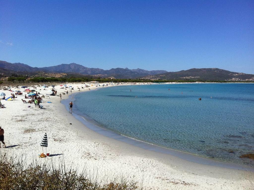 Case Vacanze Budoni Beach Værelse billede